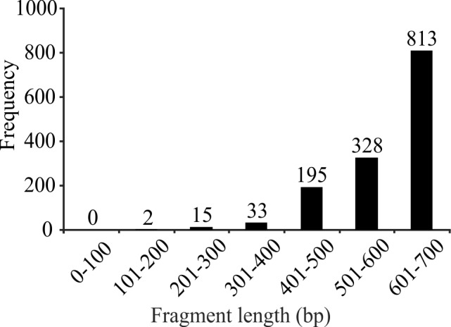 Frequency distribution of the 1,381 sequences from the original dataset by length (in base pairs).