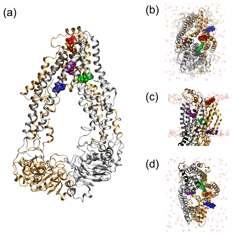 Figure 4