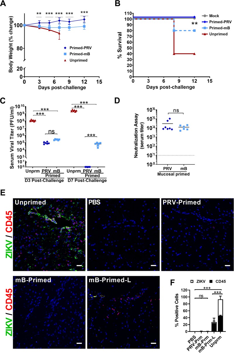 FIG 6