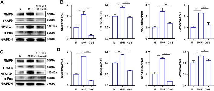 FIGURE 6