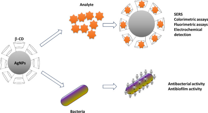 graphic file with name ao5c03312_0007.jpg