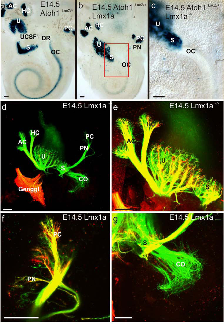 Fig. 9