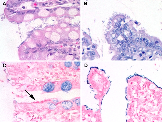 FIG. 1.