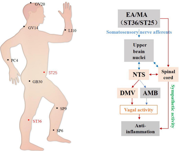 FIGURE 4