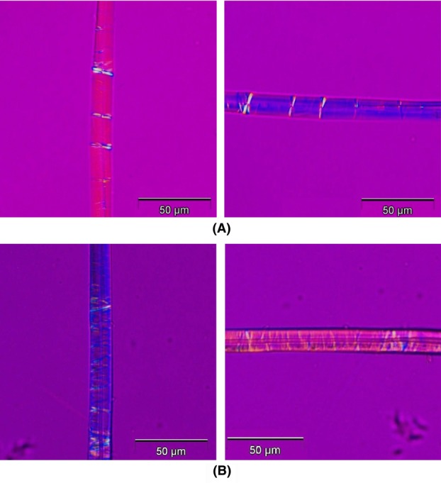 Fig 12