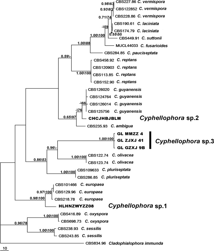 Fig 1