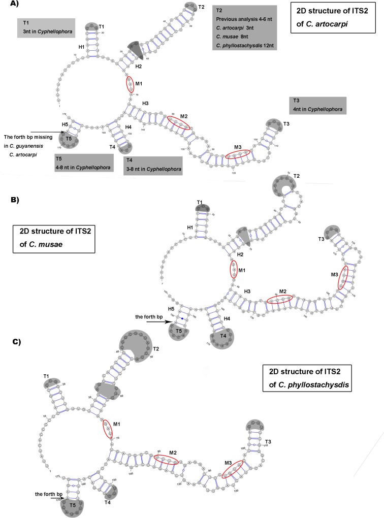 Fig 4