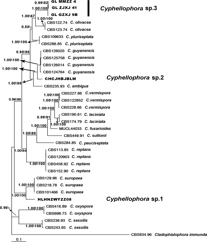 Fig 2