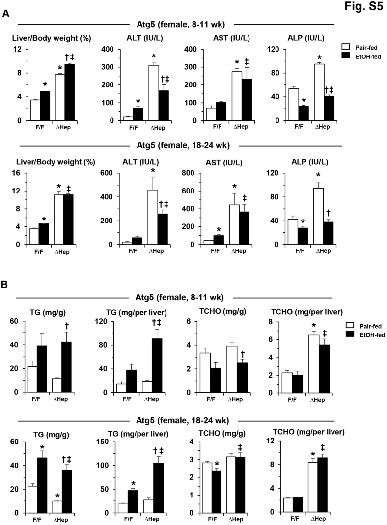 Supplemental Figure S5