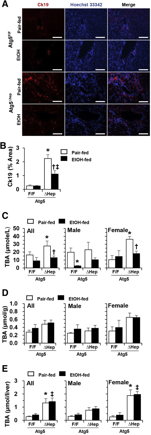 Figure 6