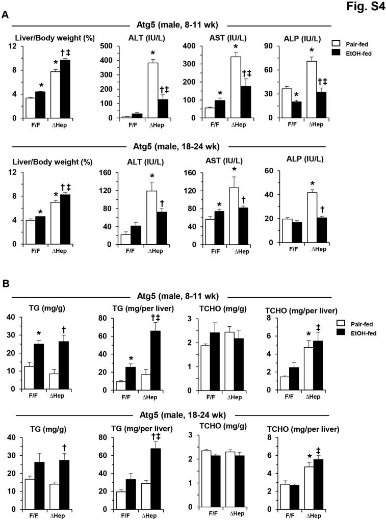 Supplemental Figure S4