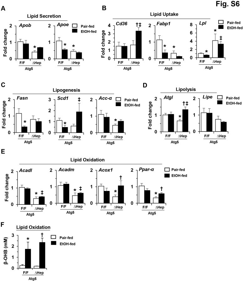 Supplemental Figure S6