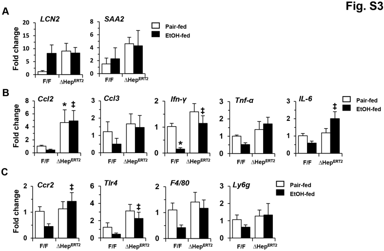 Supplemental Figure S3