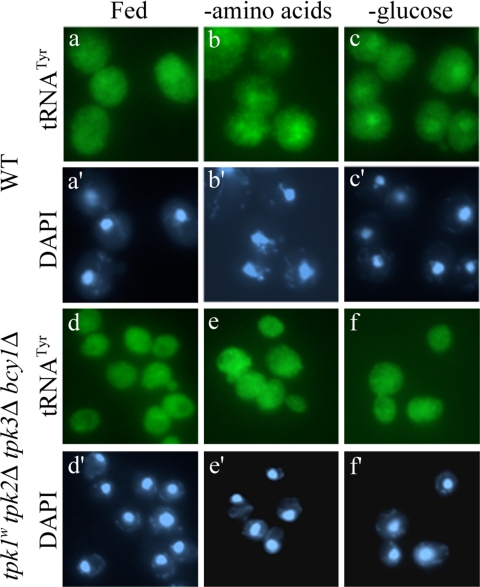 Figure 6.