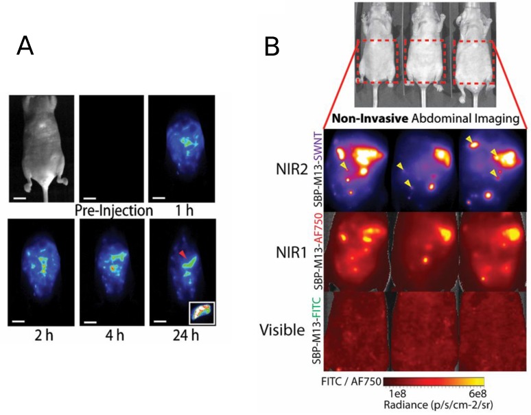 Figure 6