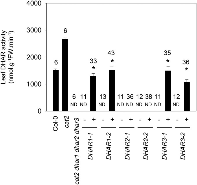 Figure 5.