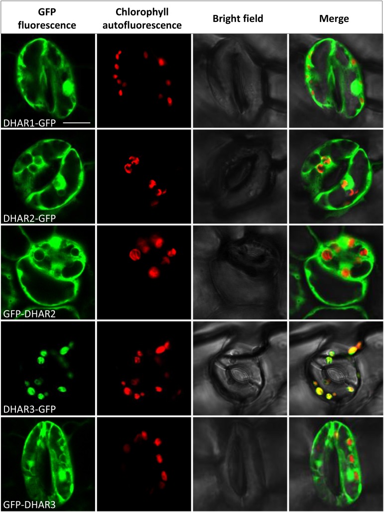 Figure 4.