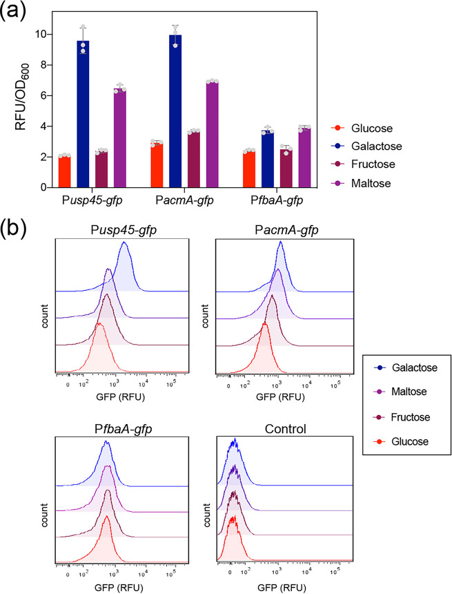 FIG 6