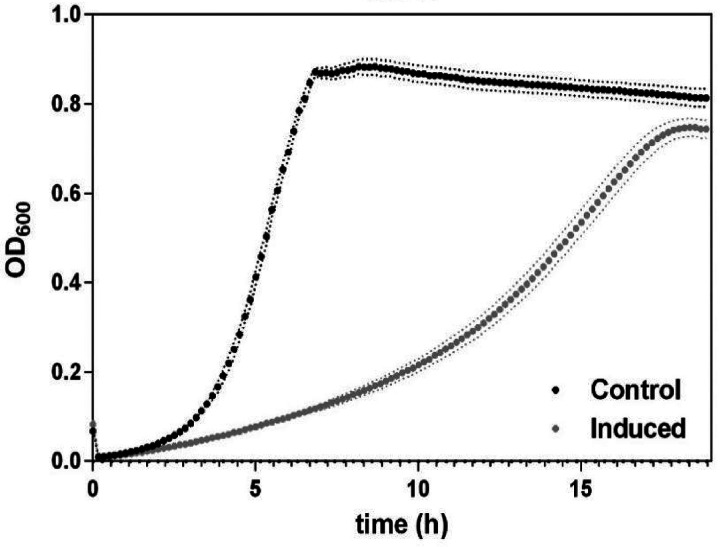 FIG 2