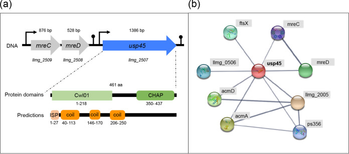 FIG 1