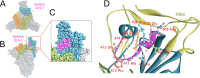 FIG 6