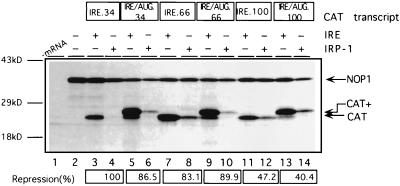 FIG. 7