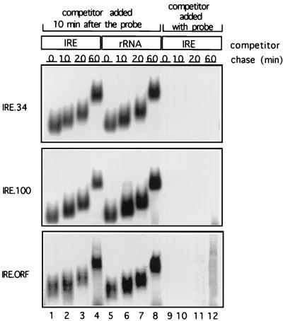 FIG. 8