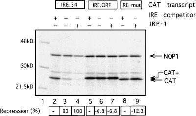 FIG. 6