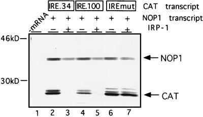 FIG. 9