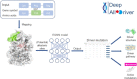 Graphical Abstract