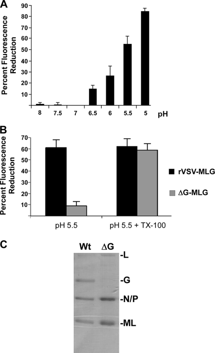 FIG. 6.