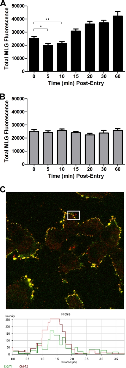 FIG. 4.