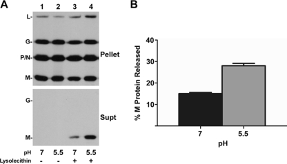 FIG. 9.