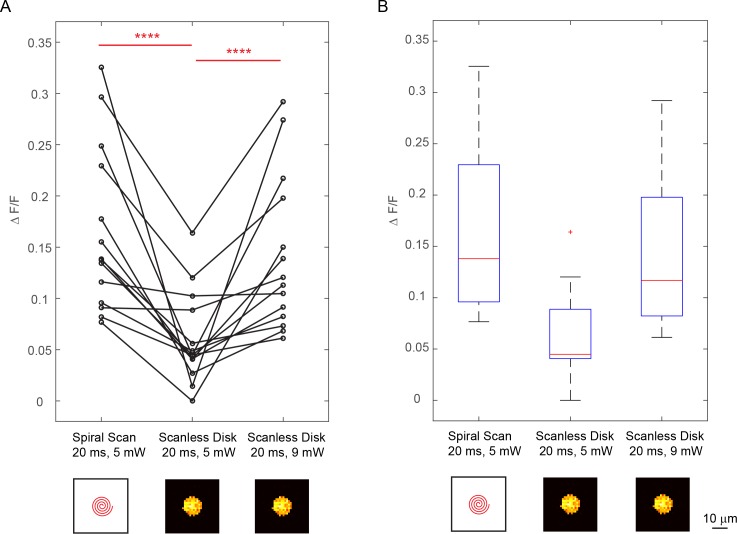 Figure 2—figure supplement 1.