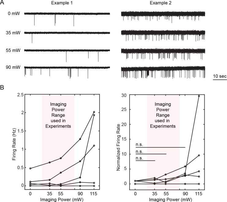 Figure 1—figure supplement 3.