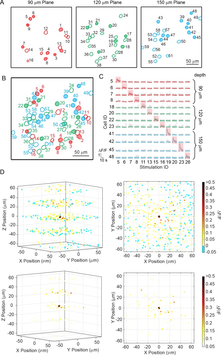 Figure 3—figure supplement 1.