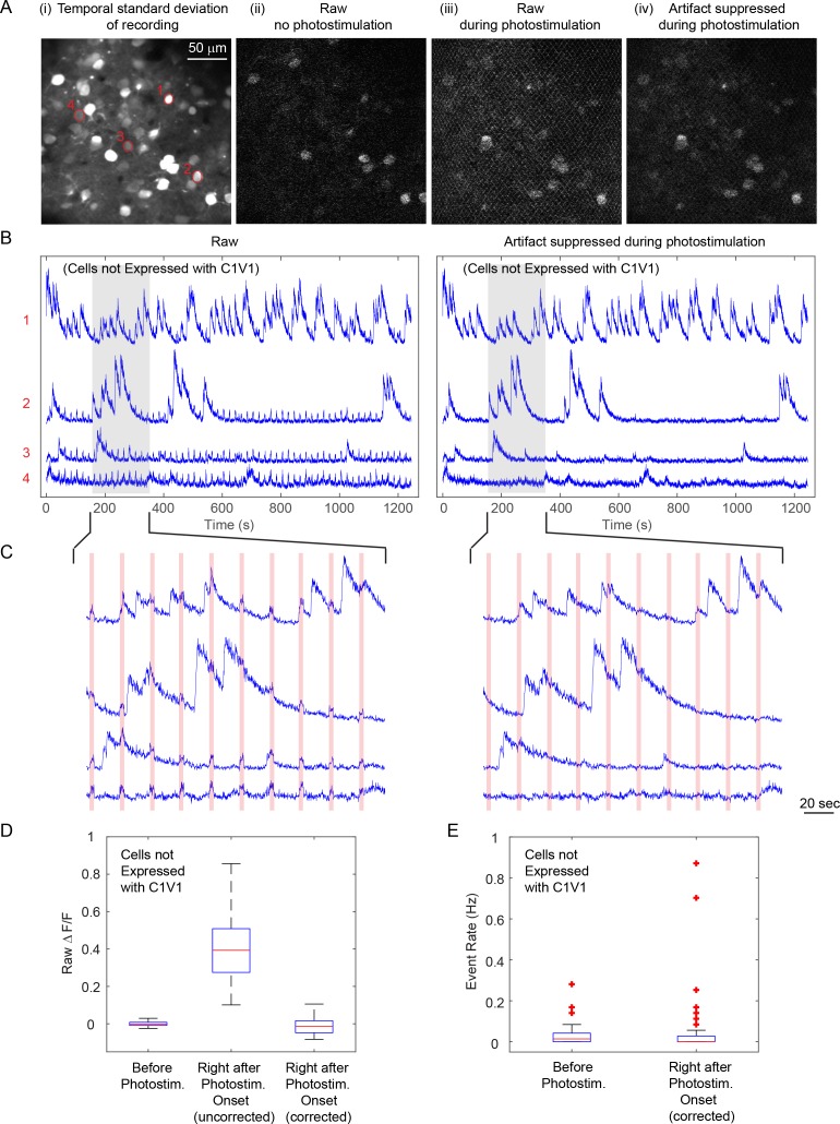 Figure 1—figure supplement 4.