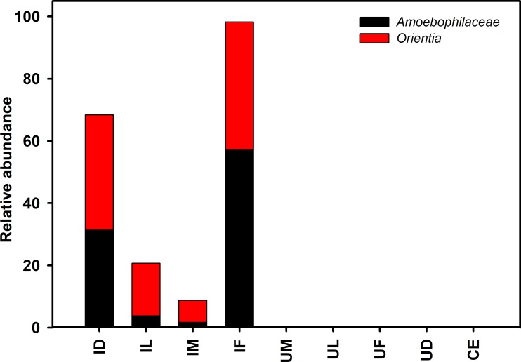 Fig 5