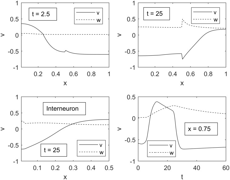 Fig 5