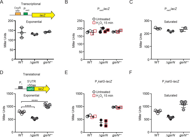 Figure 6—figure supplement 1.