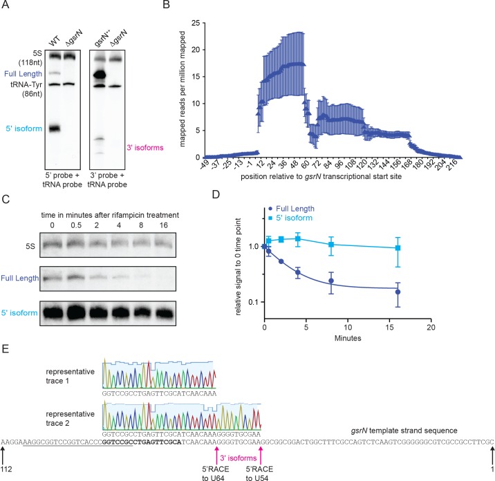 Figure 3—figure supplement 1.