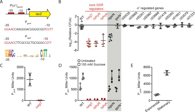 Figure 1—figure supplement 2.