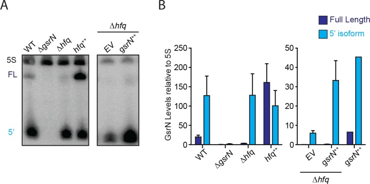 Figure 3—figure supplement 2.