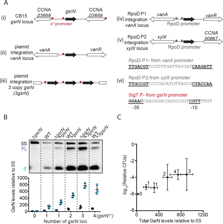 Figure 2—figure supplement 1.