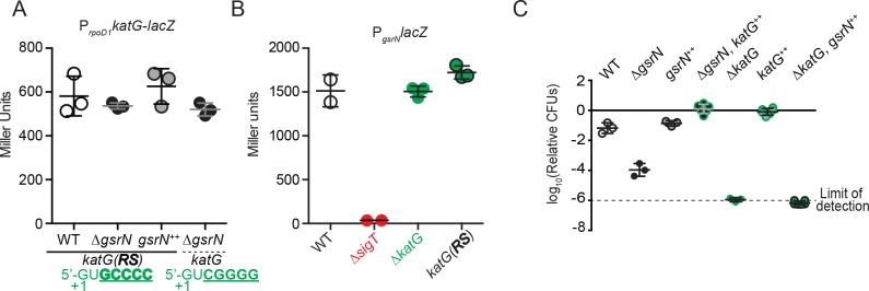 Figure 6—figure supplement 2.