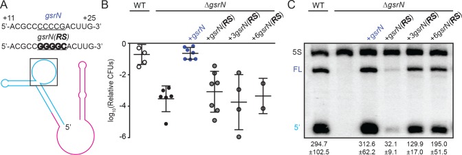 Figure 6—figure supplement 3.