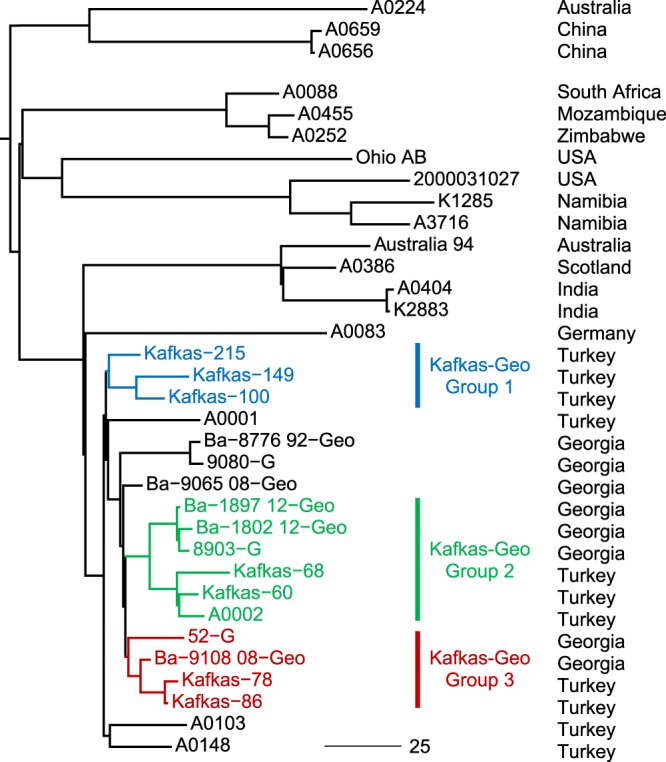 Figure 2