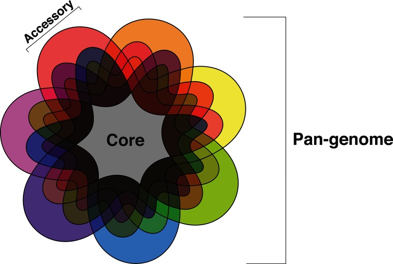 Fig. 1.