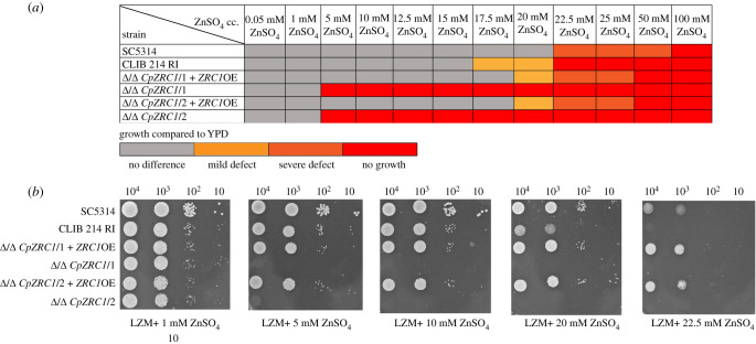 Figure 5. 