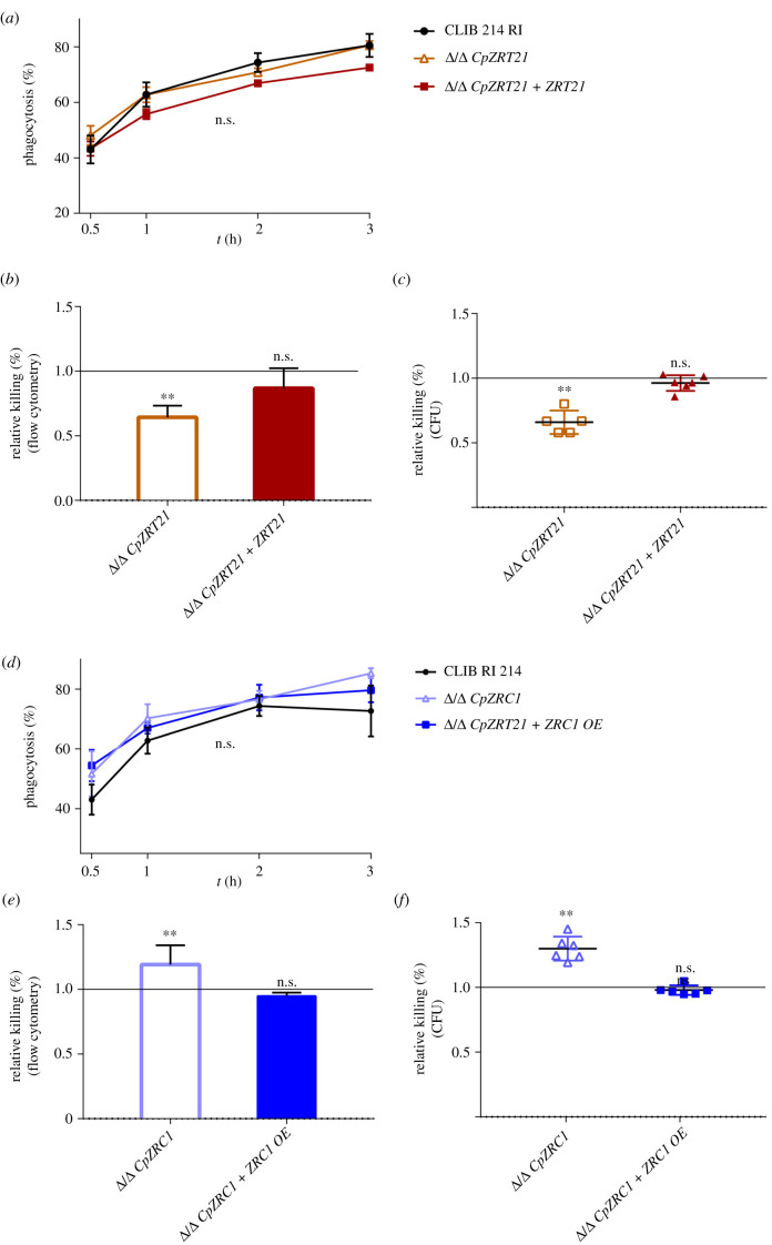 Figure 10. 